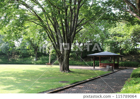 Kamisuwa Castle 115789064