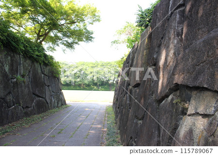 Kamisuwa Castle Kamisuwa Castle 115789067