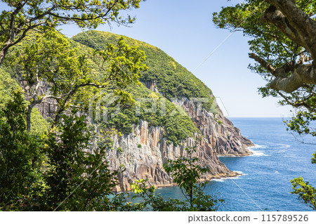 立崎懸崖上的懸崖和壯麗景色 立崎懸崖上的懸崖和壯麗景色 115789526