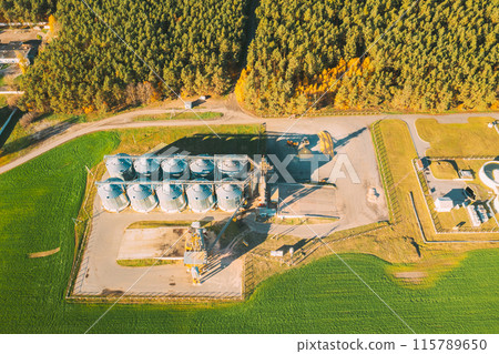 Aerial view modern granary, grain-drying complex, commercial grain or seed silos in sunny autumn season rural landscape. Corn dryer silos, inland grain terminal, grain elevators standing in a field 115789650