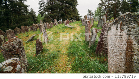 Old ancient Jewish cemetery in summer spring day. green grass an Old ancient Jewish cemetery in summer spring day. green grass an 115789719