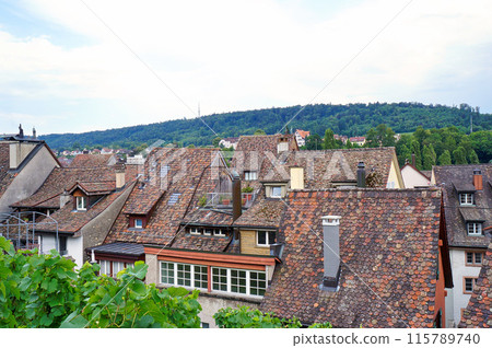 Schaffhausen Old Town - Roofs with chimneys [Switzerland] 115789740