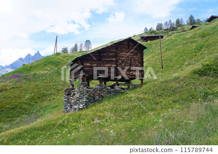 The rat-proof hut in the village of Findeln [Zermatt, Switzerland] 115789744