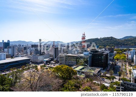 [Japan's 100 Famous Castles] Springtime Kochi Castle: View from the castle tower 1, Kochi City, Kochi Prefecture 115790119