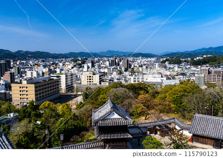 【日本名城百選】從塔樓眺望春景的高知城 5 高知縣高知市 115790123
