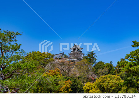 [Japan's 100 Famous Castles] Kochi Castle in Spring: The Honmaru seen from the edge of the moat, Kochi City, Kochi Prefecture 115790134
