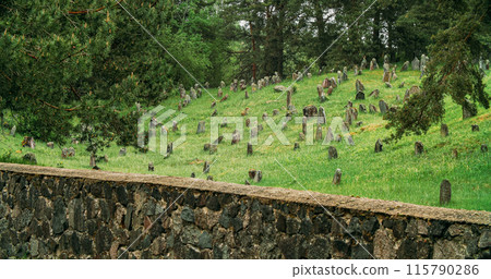 Old ancient Jewish cemetery in summer spring day. Druya, Belarus Old ancient Jewish cemetery in summer spring day. Druya, Belarus 115790286