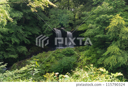 A waterfall surrounded by fresh greenery 115790324