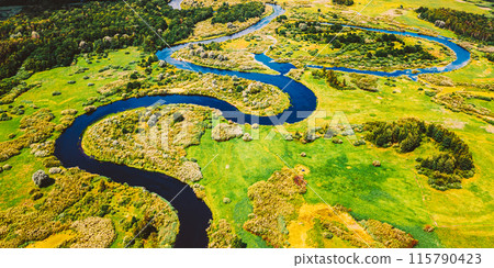 Aerial View Green Forest Woods And River Landscape In Sunny Spring Summer Day. Top View Of Beautiful European Nature From High Attitude In Autumn Season. Drone View. Bird's Eye View 115790423
