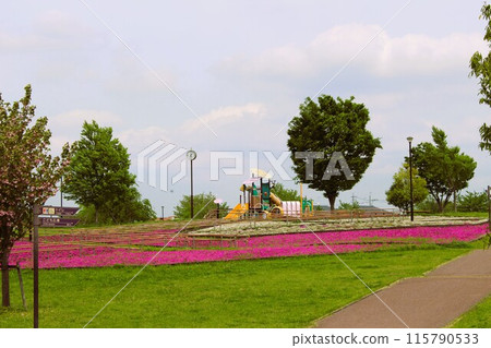 科技櫻花公園 科技櫻花公園 115790533
