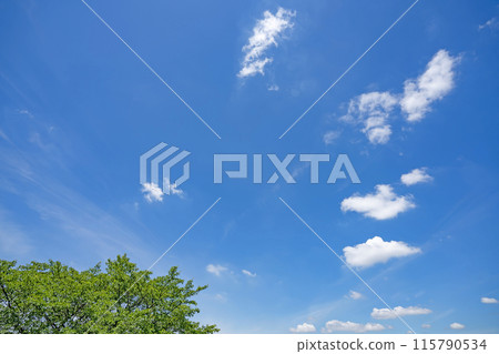 初夏的雲朵和樹木 初夏的雲朵和樹木 115790534