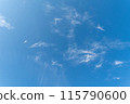 Thin clouds in the blue sky 115790600