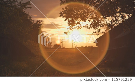 Rustic summer landscape in the rays of the evening sun. Rustic summer landscape in the rays of the evening sun. 115791239