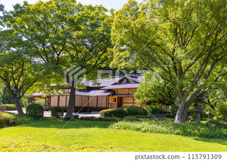 Suwa Tea House in the East Garden of the Imperial Palace 115791309