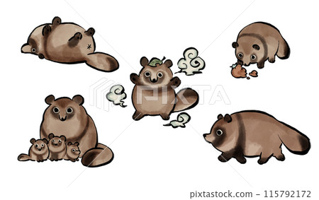 Set of cute raccoon dogs 115792172