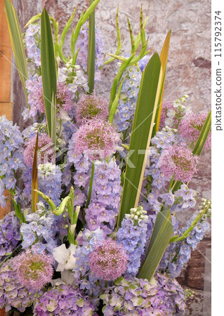 Flowers in the garden Flowers in the garden 115792374