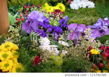 Flowers exposed on Floraart, 50 international garden exhibition in Zagreb, Croatia Flowers exposed on Floraart, 50 international garden exhibition in Zagreb, Croatia 115792380