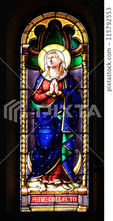 Virgin Mary, stained glass window in the Basilica of Saint Frediano, Lucca, Tuscany, Italy Virgin Mary, stained glass window in the Basilica of Saint Frediano, Lucca, Tuscany, Italy 115792553
