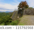 Oka Castle in the air of autumn 115792568