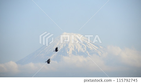 Mount Fuji and birds @mar_lapin 115792745