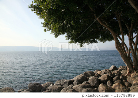 Rocky seascape, seashore in En Gev, Sea of Galilee, Israel 115792999