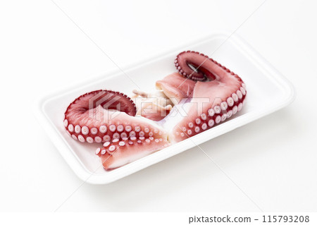 白色背景上的章魚 白色背景上的章魚 115793208