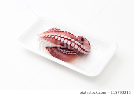 Octopus on white background 115793213