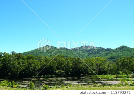 初夏的志賀高原,荷塘邊綠樹成蔭,藍天環繞 初夏的志賀高原,荷塘邊綠樹成蔭,藍天環繞 115793271