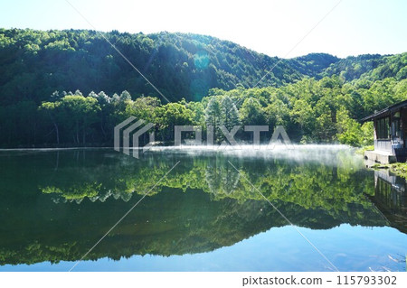 Shiga Kogen in early summer - Kido Pond with fresh greenery - Early morning scenery with a breeze of hair 115793302