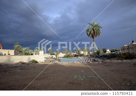 View of the ancient city of Jericho, Jordan Valley, West Bank, Palestine, Israel View of the ancient city of Jericho, Jordan Valley, West Bank, Palestine, Israel 115793411