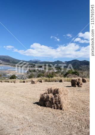 從柳平散步道展望台看到的風景，視野開闊 115793545