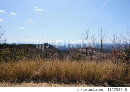 從柳平散步道展望台眺望的景色 115793546