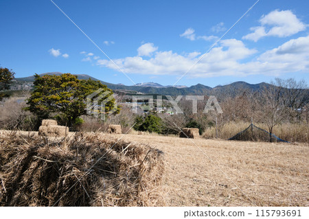 A stroll along the Yanagigahira Walking Path 115793691