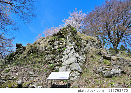 Yagi Castle (Tajima Province) Path leading to the castle and remaining stone walls Yagi Castle (Tajima Province) Path leading to the castle and remaining stone walls 115793770