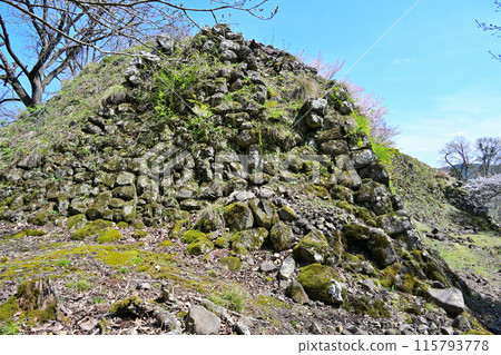 Yagi Castle (Tajima Province) Path leading to the castle and remaining stone walls 115793778