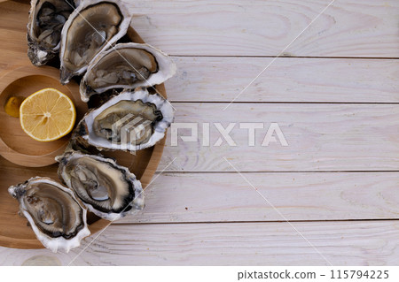 plate of fresh raw oysters isolated on white background, top view plate of fresh raw oysters isolated on white background, top view 115794225