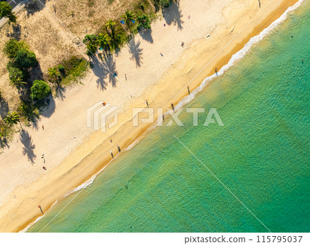 Aerial view sandy beach and waves crashing on sandy shore, Beautiful tropical sea in the morning summer season image by Aerial view drone shot, high angle view Top down 115795037