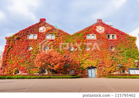 Sapporo Factory in autumn 115795402