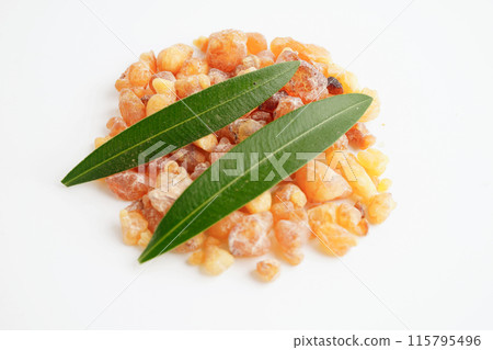 Frankincense or olibanum aromatic resin isolated on white background used in incense and perfumes. Frankincense or olibanum aromatic resin isolated on white background used in incense and perfumes. 115795496
