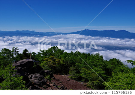 從淺間山脈的高峰山看到的富士山、八嶽、雲海 115796186
