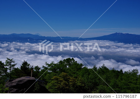 Mount Fuji, Yatsugatake, and the sea of clouds as seen from Mount Takamine in the Asama mountain range 115796187