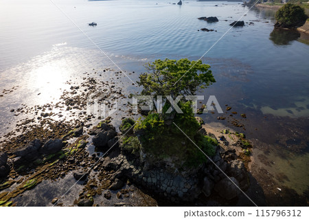 Amaharashi Coast, Onnaiwa and the Tateyama Mountain Range (aerial photography by drone) 115796312