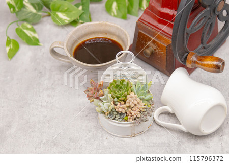 Coffee break image: succulent plants in a remade can and a retro coffee mill 115796372