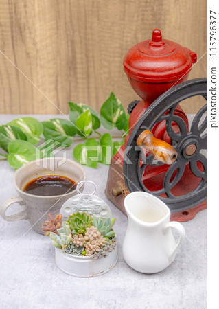 茶歇圖片:種植在石灰罐和復古咖啡磨中的多肉植物 茶歇圖片:種植在石灰罐和復古咖啡磨中的多肉植物 115796377