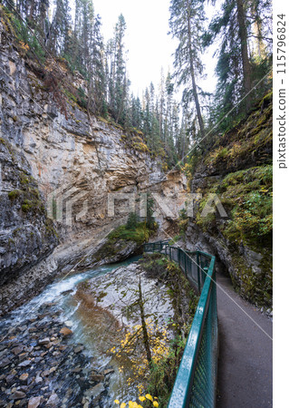 Johnston Canyon hiking trail, beautiful natural scenery, rocks and trees. Banff National Park, Alberta, Canada. Canadian Rockies. 115796824