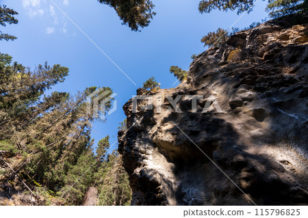 Johnston Canyon beautiful natural scenery, rocks and trees. Banff National Park, Alberta, Canada. Canadian Rockies. 115796825