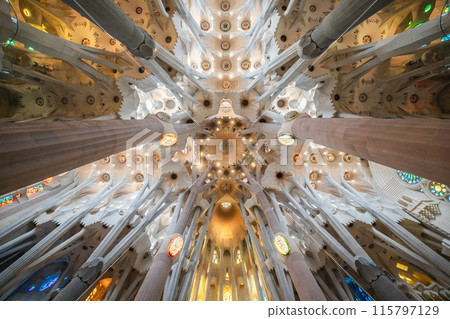 Sagrada Familia Ceiling 115797129