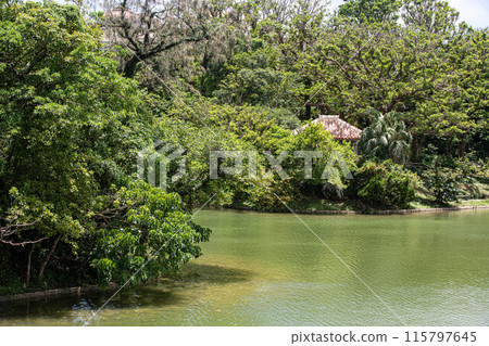 首里城龍潭 115797645