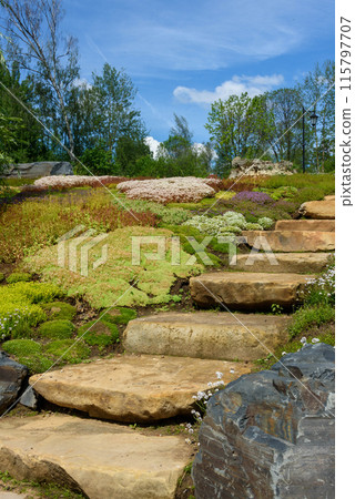 Stone staircase and flowering moss next to the staircase steps. Stone staircase and flowering moss next to the staircase steps. 115797707