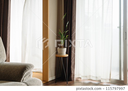 Scenery of a room with potted plants 115797997